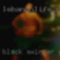 Black swinger groups Orleans